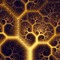 Primordial Elements