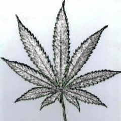 Lucid Beatz