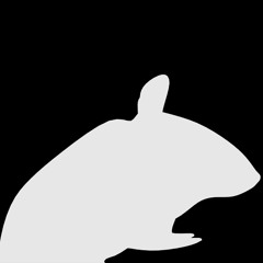 S. Sneaky Rat