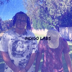 Indigo Labs