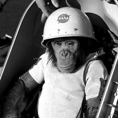 barry muir