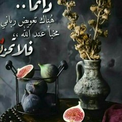 محمد رضا خاطر