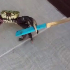 Zelda MAJORA'S MASK (STVO Trap Remix)