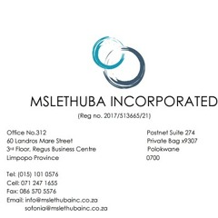 MSLETHUBA INC*