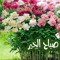 laith