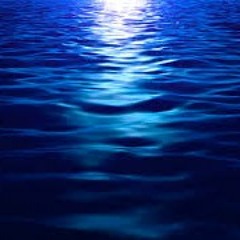 Untitled Playlist