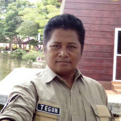 Teguh Novianto