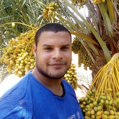 ابداعات الشيخ عبدالباسط
