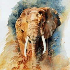 GuruDev