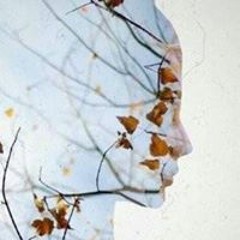 Nesrěen F SuŁimañ