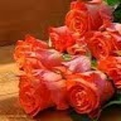 meh dost