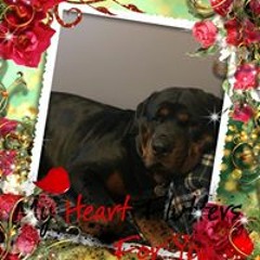 Kelly Deanne Rae-Hansen