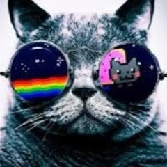 User 179938037