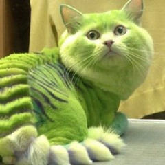 Дима Котоффф