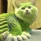 Stupid green cat