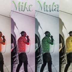 Mike Mula