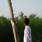 M Hussnain