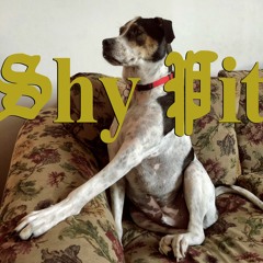 Shy Pit