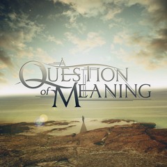 A Question of Meaning