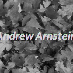 Andrew Arnstein