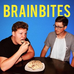 Brain Bites