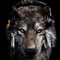 Graywolf