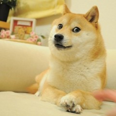 ᄋᄉᄋ