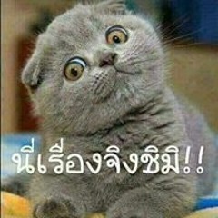 Pongtorn Sriphuthon