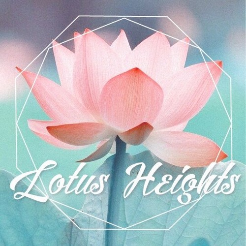 LOTUS HEIGHTS’s avatar