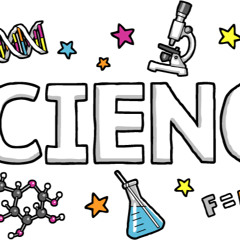 משה-ליאב לסרי