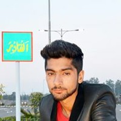 Hassan Malik