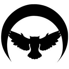Nyite Owl