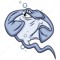 Lil Stingray