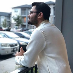 Syed Taqi Tirmizy
