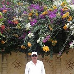 محمد نعيم