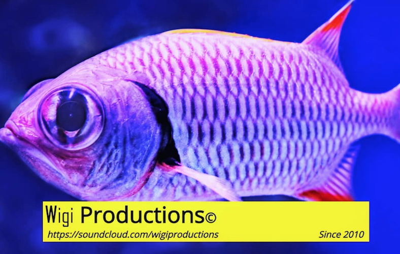 Wigi Productions podcast artwork