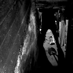 cellar graves
