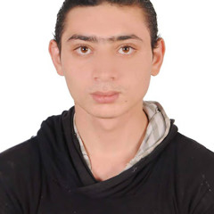 باسم ممدوح