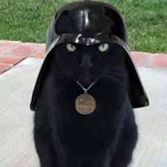 jane.foltran@uol.com.br