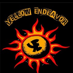 Yellow Endeavor