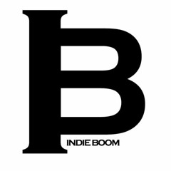 INDIE BOOM LLC