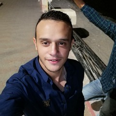 moataz elgamal