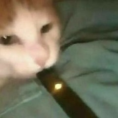 peptobismol