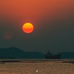 صالح السيد غريبه الدنيا ومافيها غريب