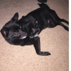 The Podcast About Nothing