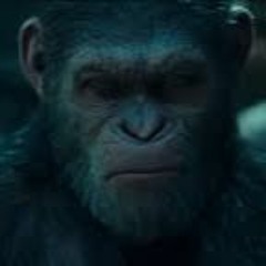 Trillabaysav.Caesar the leader of the Apes