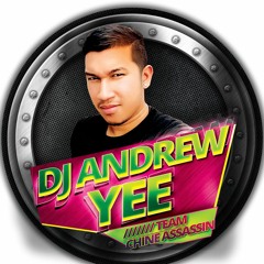 DJ Andrew Yee Chine Assassin Sound