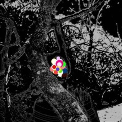 Taiki Ozawa Improvisation Recordings