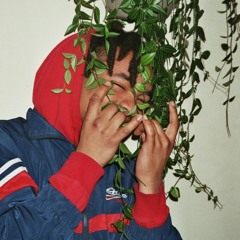 le_brain