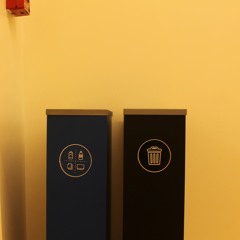 Diego Aguilera-Steinert